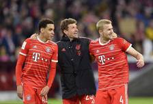 综合体育内容更新机制 高频刷新保证时效